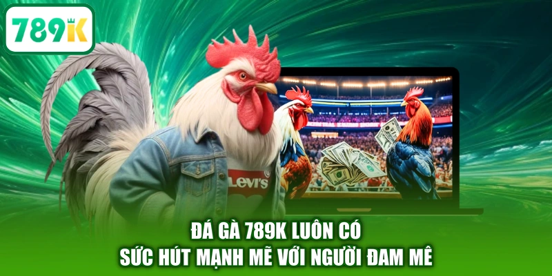 Đá gà 789K luôn có sức hút mạnh mẽ với người đam mê